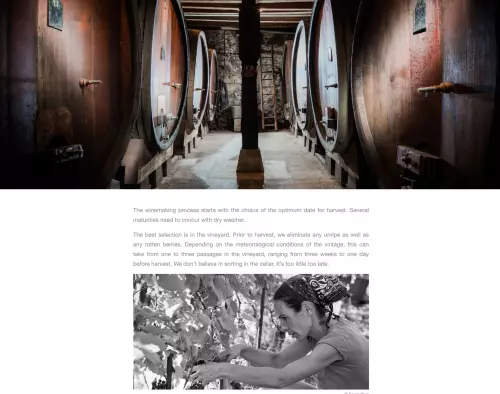 Site internet Vigneron - image 2